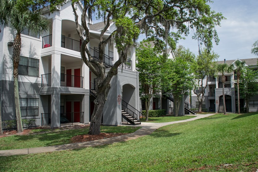 The Ivy Apartments near USF in Tampa, FL